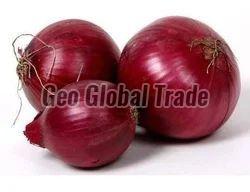 Fresh Red Onion