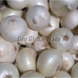 Fresh White Onion