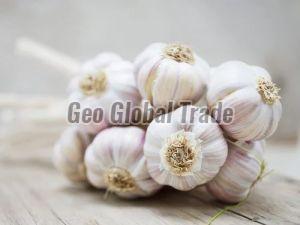 Organic White Garlic