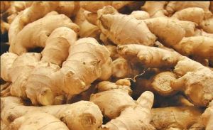 Fresh Raw Ginger