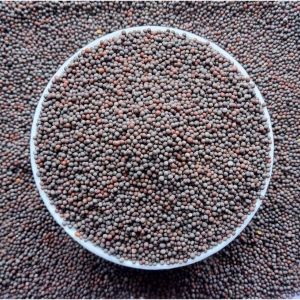 Natural Toria Black Mustard Seeds