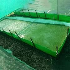 450GSM 9x4x1 Ft HDPE Azolla Cultivation Bed