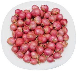 Small Pink Onion