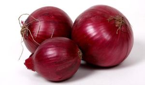 Maharashtra Fresh Red Onion