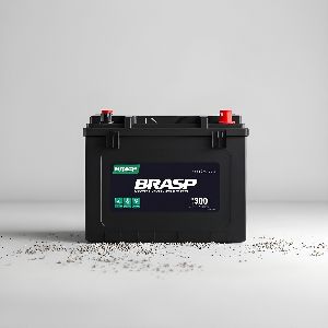 Lithium iron phosphate (LiFePO4) battery