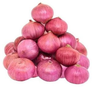 Fresh Red Onion