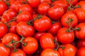 Fresh Red Tomato