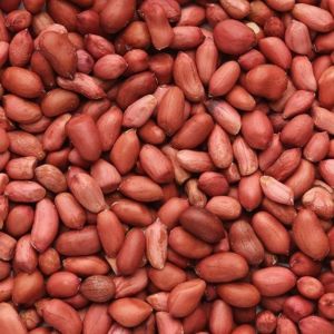 Runner Groundnut Kernel