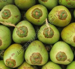 Natural Tender Coconut