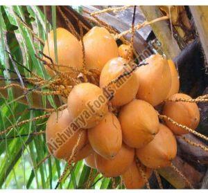 orange tender coconut