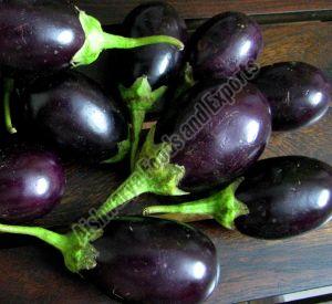 Organic Fresh Brinjal