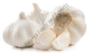 organic fresh garlic