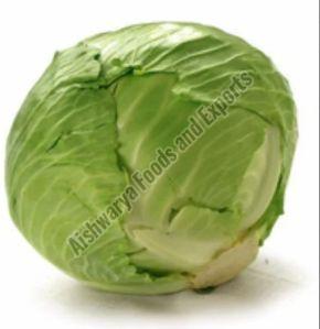 Premium Fresh Cabbage