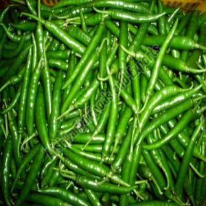 spicy green chilli