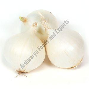 White Organic Fresh Onion