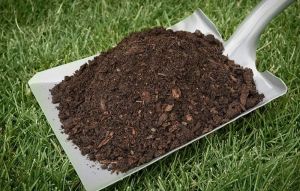 Cow Dung Compost Manure