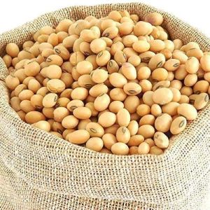 60kg Soybean Seeds