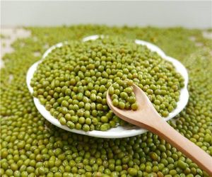 65kg Green Mung Beans