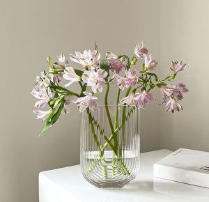 Glass Vases