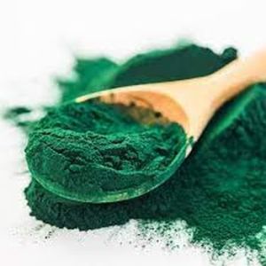 organic spirulina powder