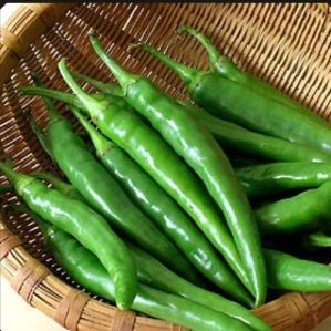 Green Chilli