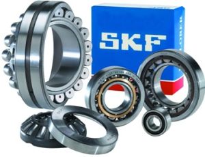 SKF Bearings