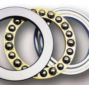 Thrust Bearing