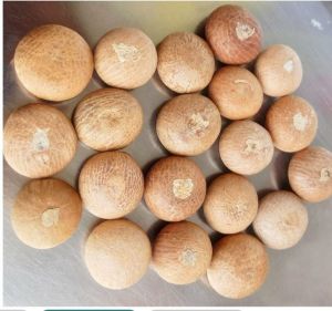 areca nut