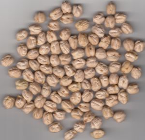 Chickpeas