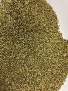 Cumin Seeds