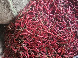 Dry Red Chilli