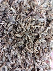 Cumin Seeds