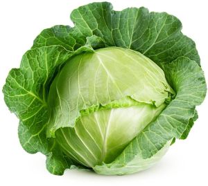 Patta Gobhi (Cabbage)