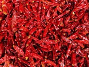 red chilli