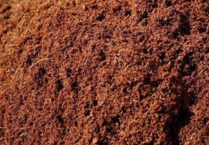 Organic Cocopeat Powder