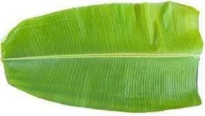 Banana Leaf