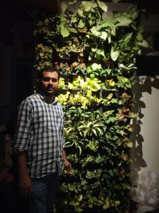 Vertical Garden Landscaping Services