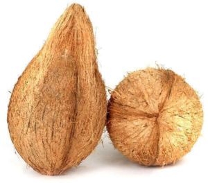 A Grade Whole Fully Husked Coconut