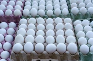 Poultry Eggs