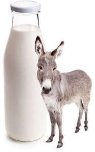 FRESH DONKEY MILK