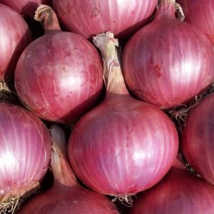 Onions