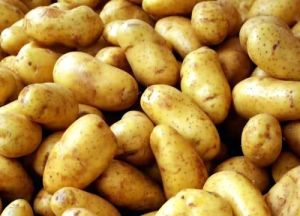 Fresh Brown Potato