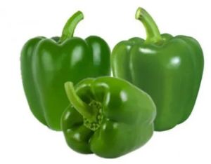 Fresh Green Capsicum