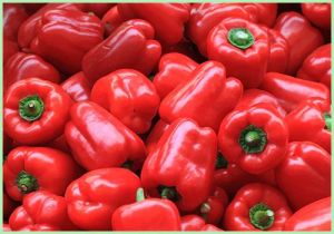 Fresh Red Capsicum