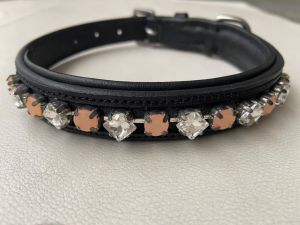 Dog Collars