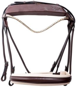 Horse Bridle