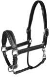 Horse Halters