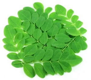 Moringa