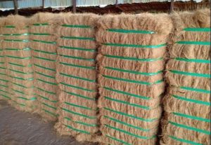 Coir Fiber