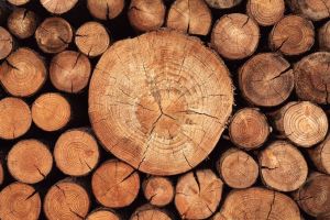 Wood Logs